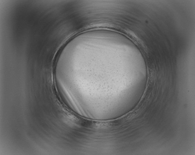 X0000073911274200608251514