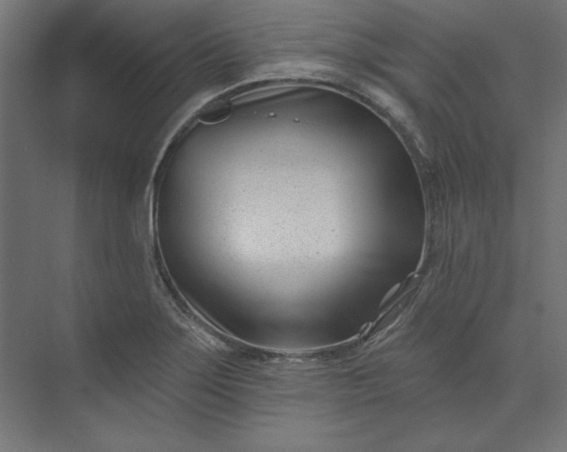 X0000073911275200608251514