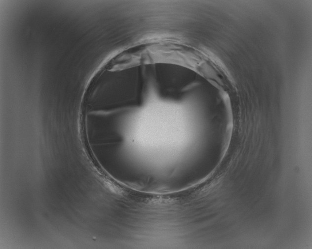 X0000073911277200608251514