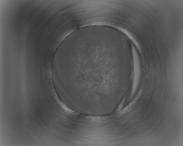 X0000073911289200608251513