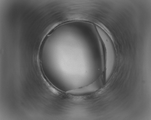 X0000073911293200608251513