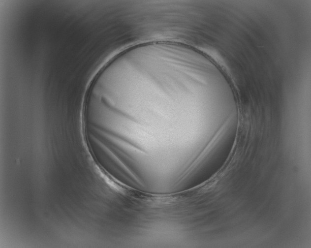 X0000073911294200608251513