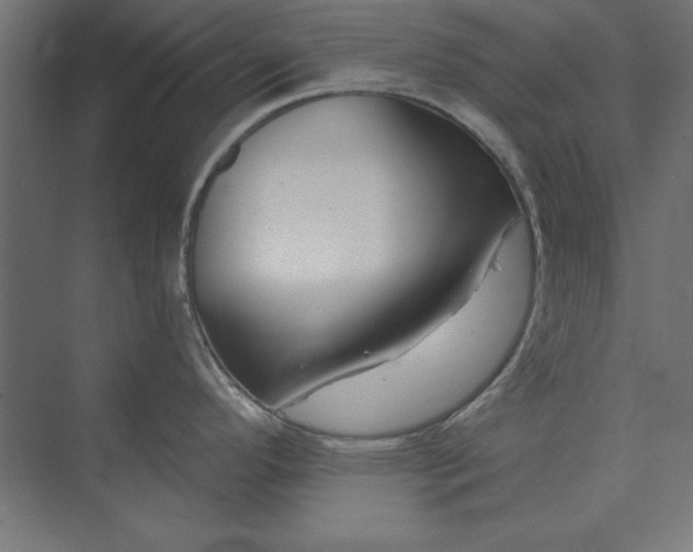 X0000073911296200608251513
