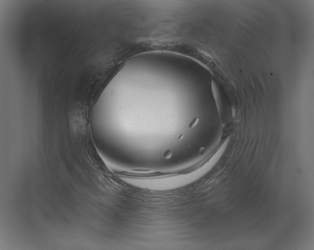 X0000073911300200608251513