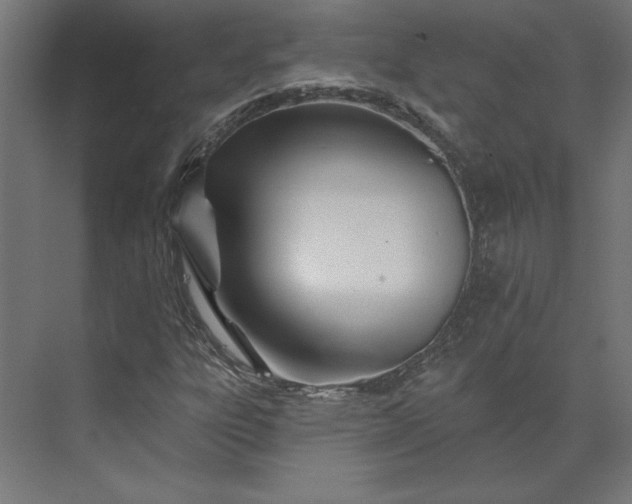X0000073911303200608251513
