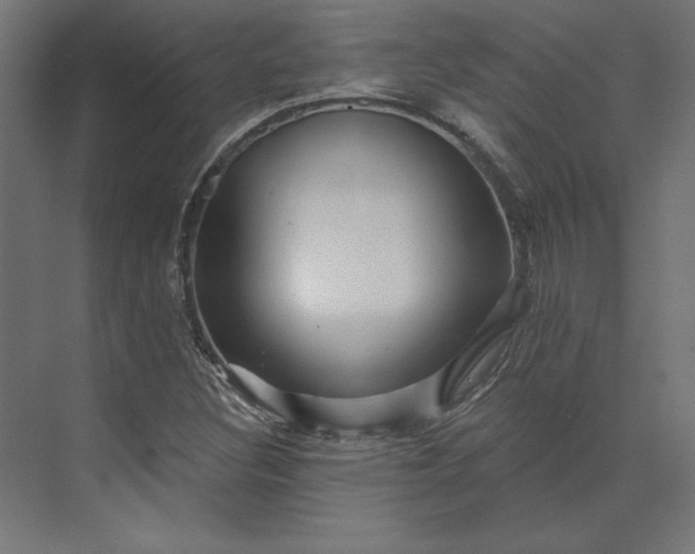 X0000073911308200608251513