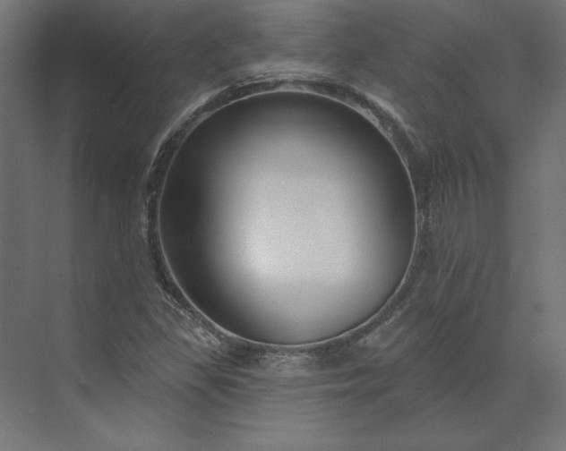 X0000073911309200608251513