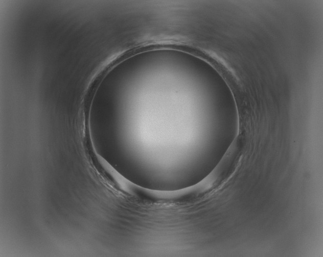 X0000073911317200608251513