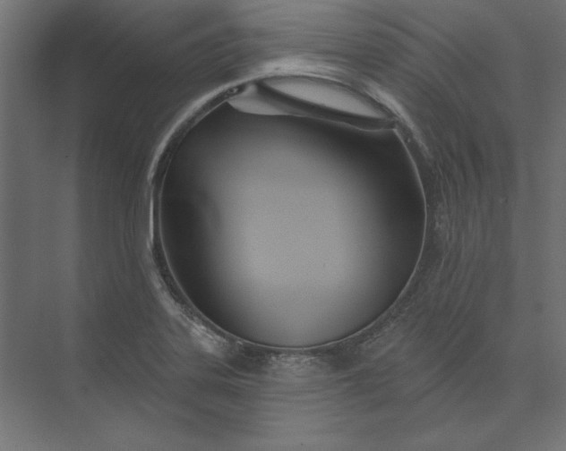 X0000073911323200608251513