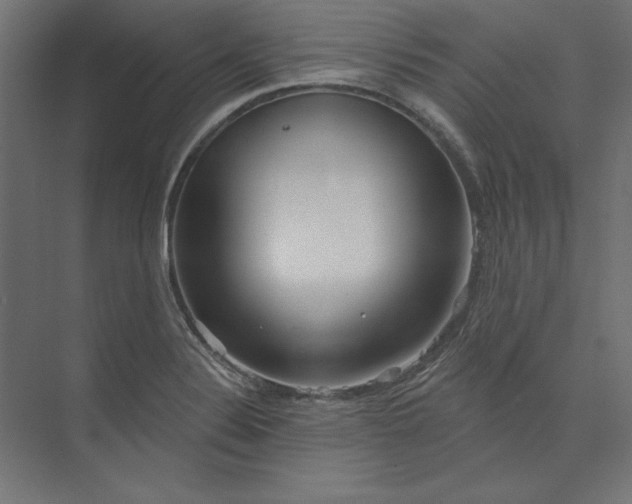 X0000073911324200608251513