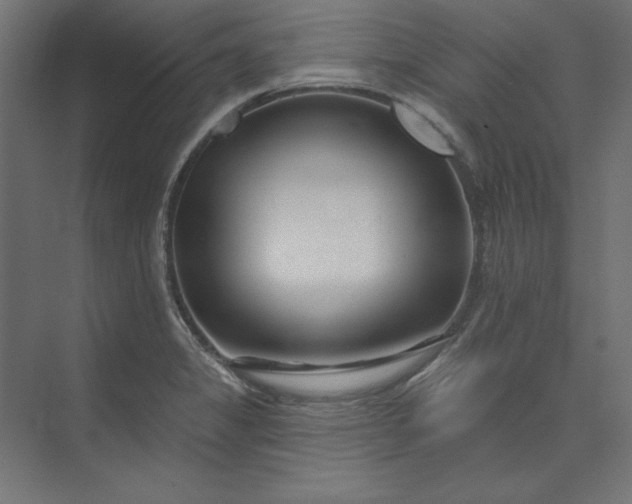X0000073911325200608251513