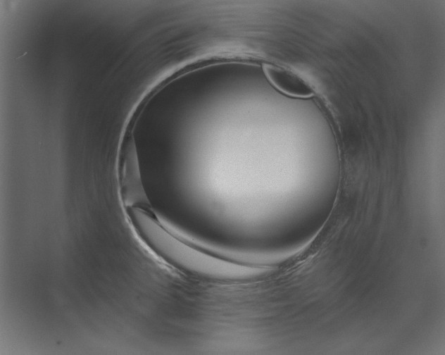 X0000073911335200608251513