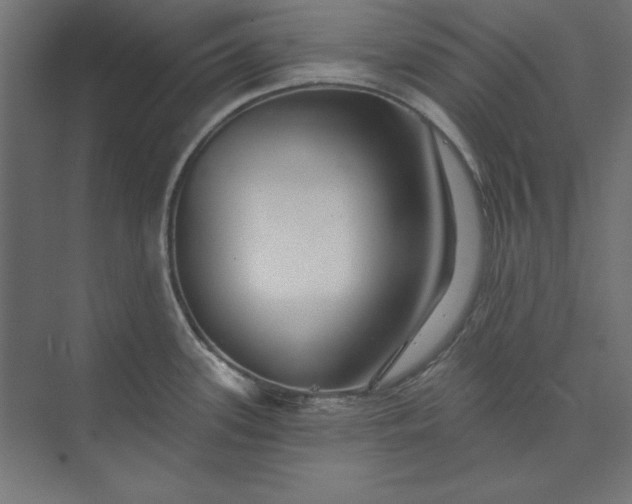 X0000073911339200608251513