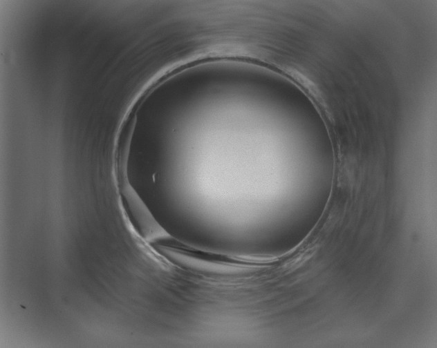 X0000073911342200608251513