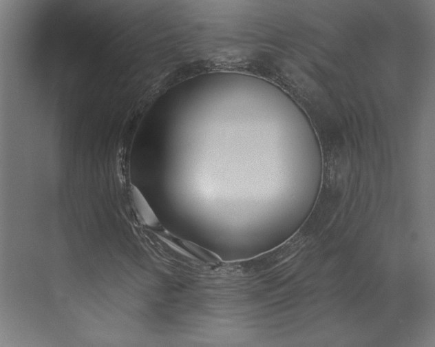 X0000073911346200608251513