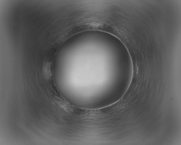X0000073911347200608251512