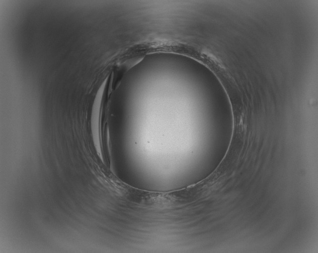 X0000073911348200608251512