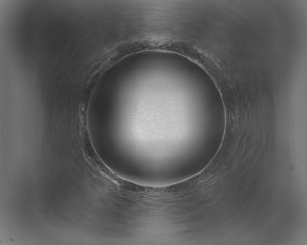 X0000073911349200608251512