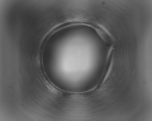 X0000073911356200608251512