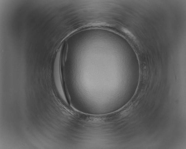 X0000073911361200608251512