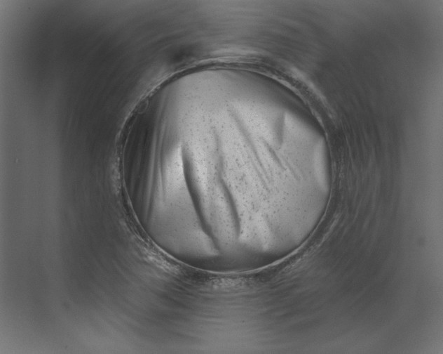X0000073911362200608251512