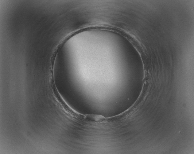 X0000073911363200608251512