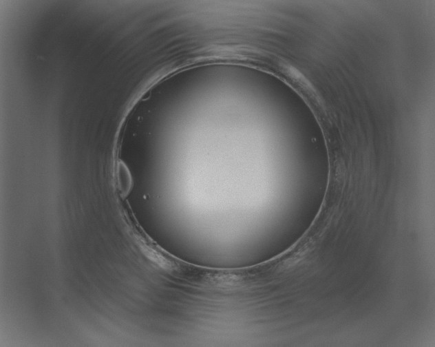X0000073911370200608251512
