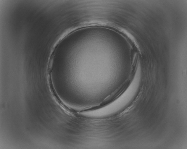X0000073911373200608251512