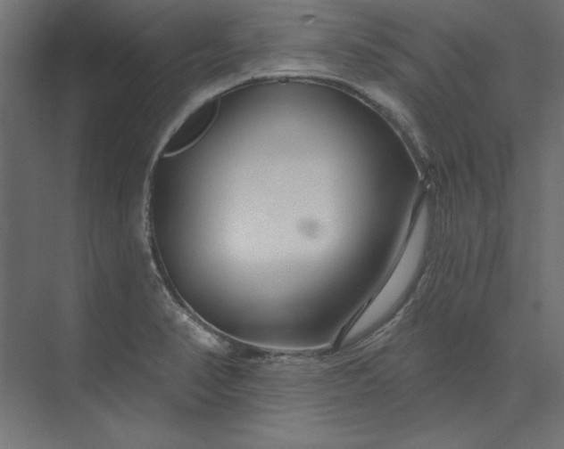 X0000073911374200608251512