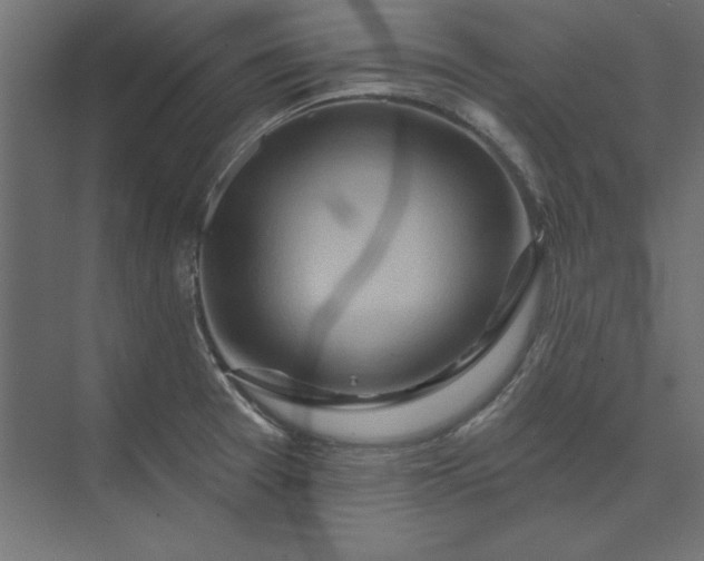 X0000073911377200608251512