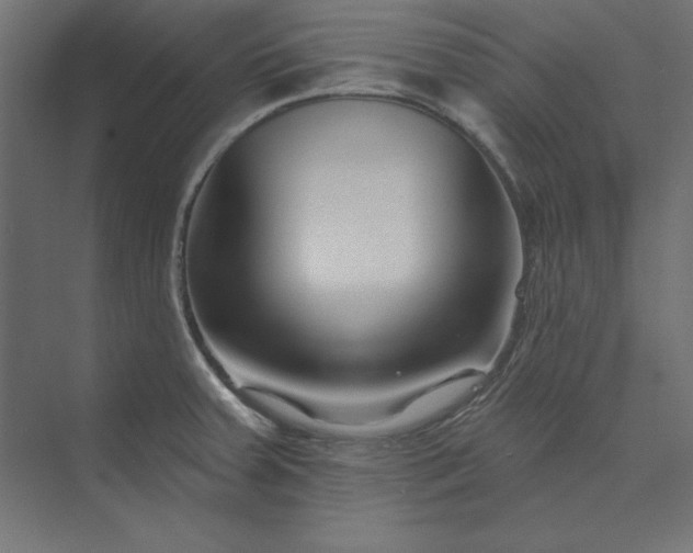 X0000073911379200608251512