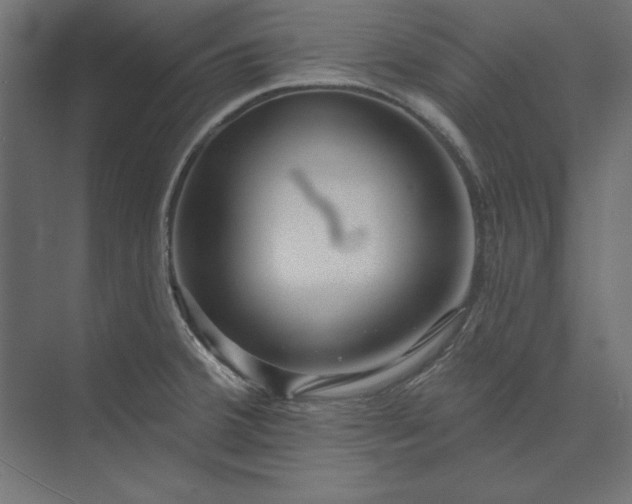 X0000073911380200608251512