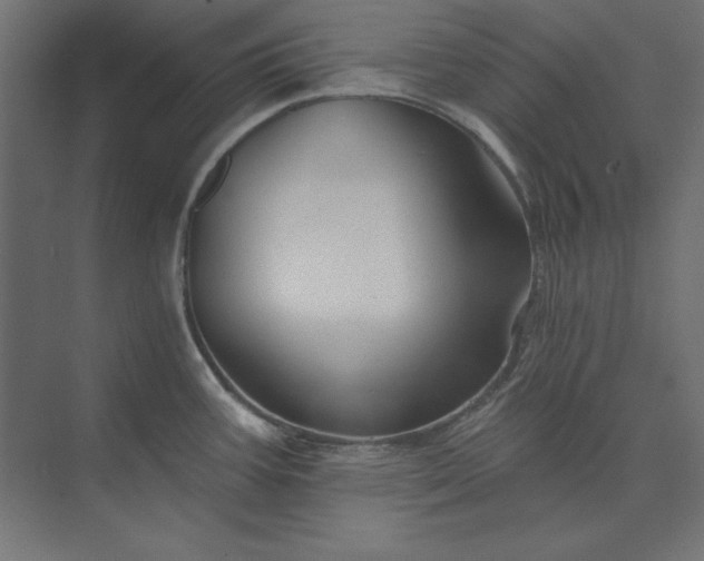 X0000073911387200608251512
