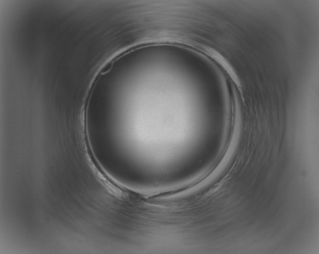 X0000073911388200608251512