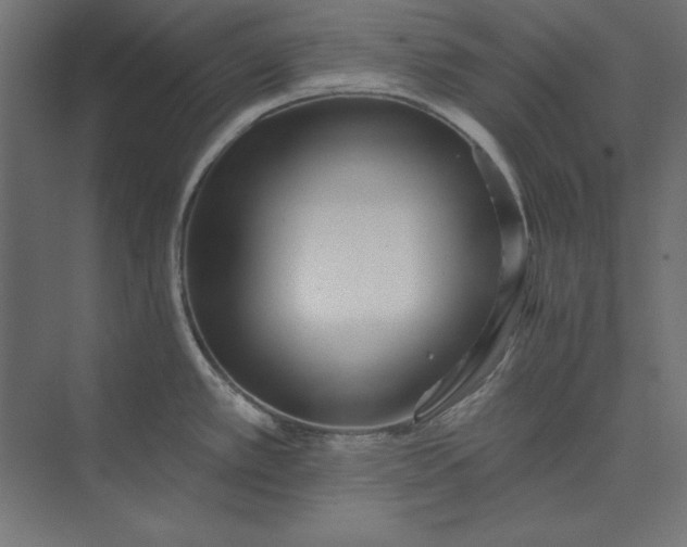 X0000073911389200608251512