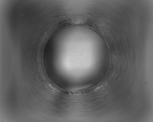 X0000073911393200608251511