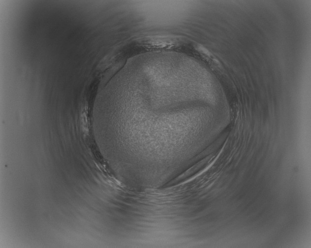 X0000073911394200608251511