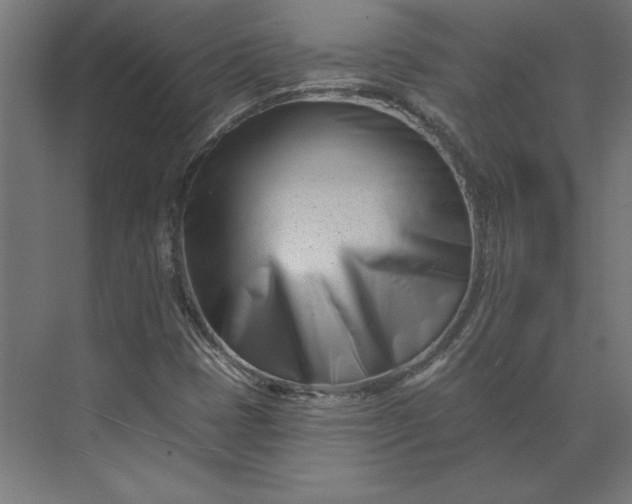 X0000073911401200608251511