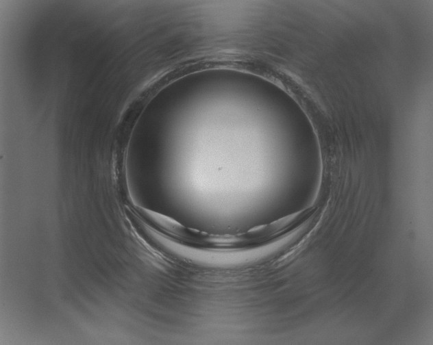 X0000073911402200608251511