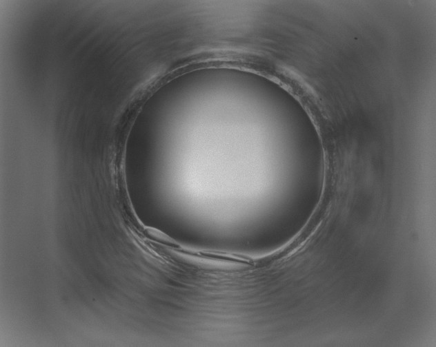 X0000073911403200608251511