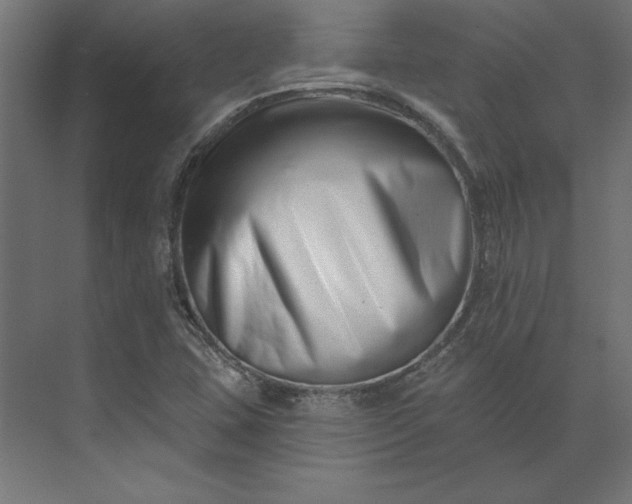 X0000073911407200608251511