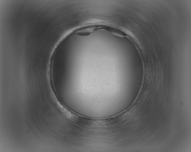 X0000073911421200608251511