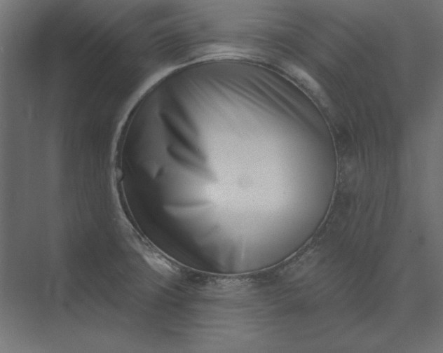 X0000073911427200608251511