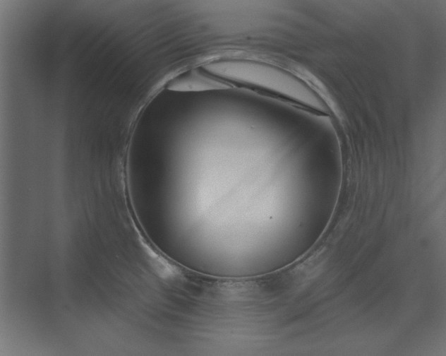 X0000073911433200608251512