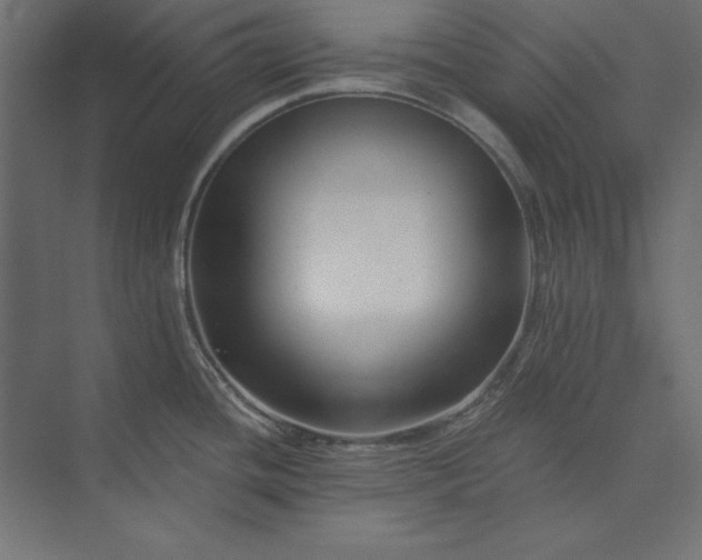 X0000073911436200608251512