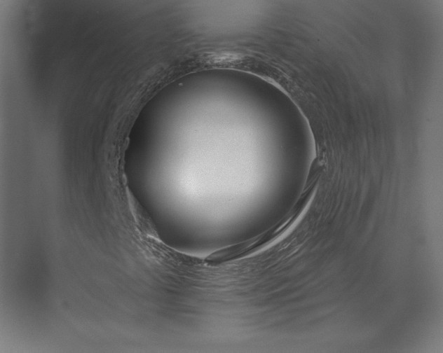 X0000073911441200608251511