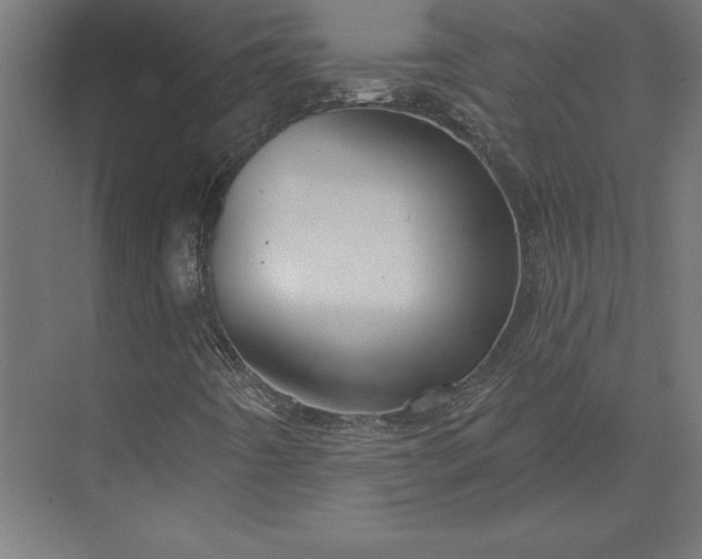 X0000073911442200608251511
