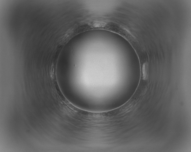 X0000073911443200608251511