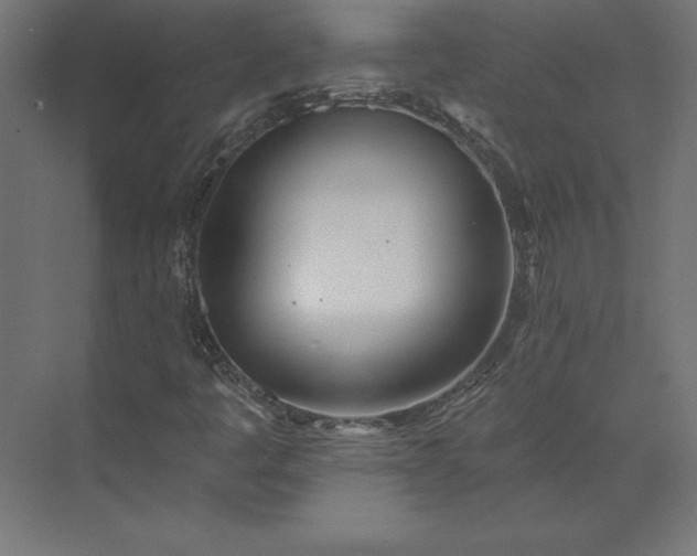 X0000073911445200608251511