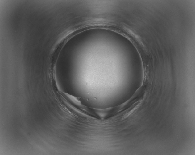 X0000073911453200608251511
